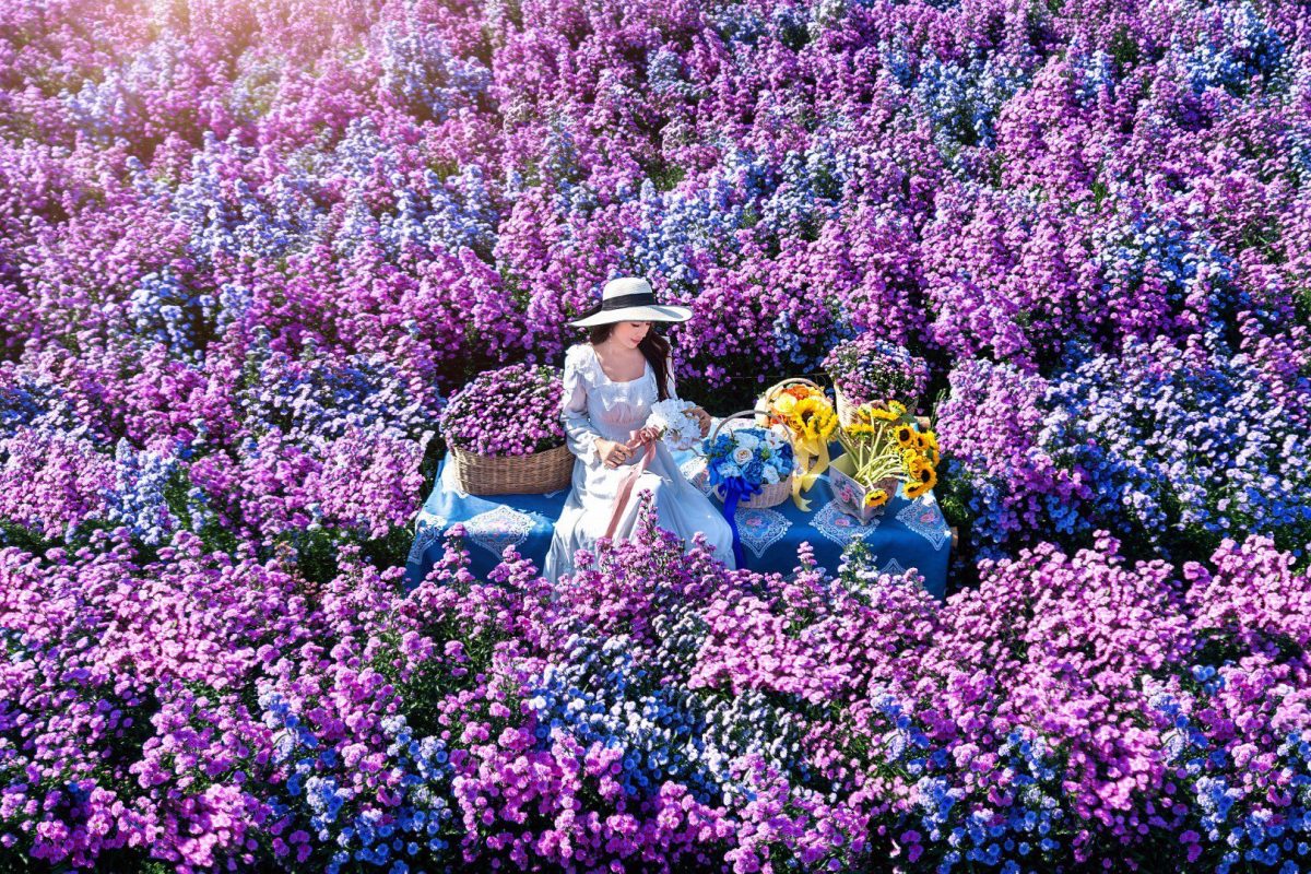 Festival Chiang Rai Flower Bloom 2025 Jadi Daya Tarik Utama Thailand